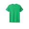 Next Level Colors Unisex Tri-Blend T-Shirt